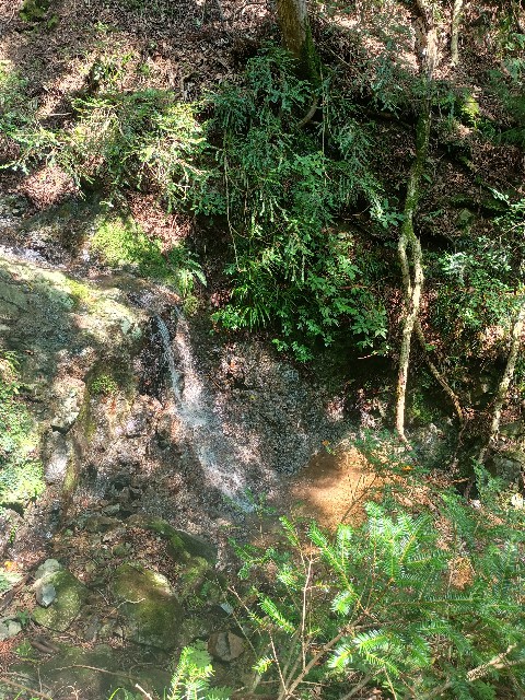 f:id:developingexplorer:20250824084021j:image