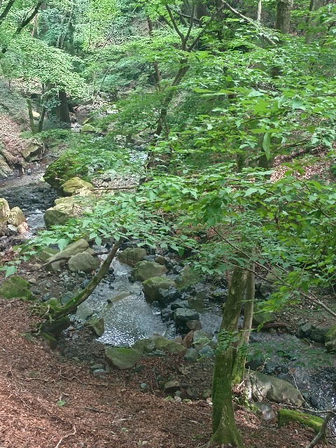 f:id:developingexplorer:20250824084047j:image