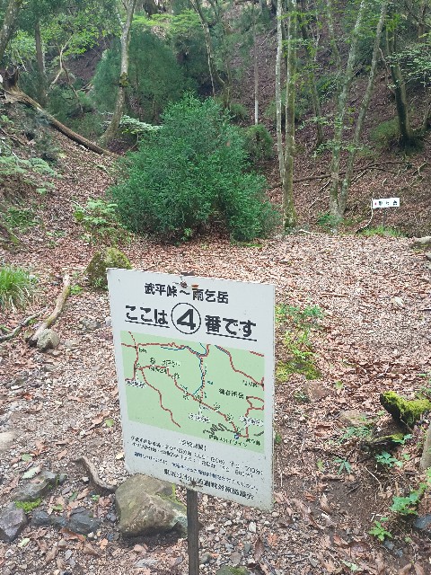 f:id:developingexplorer:20250824084111j:image