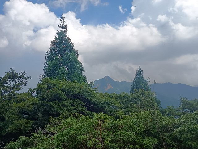 f:id:developingexplorer:20250824085300j:image