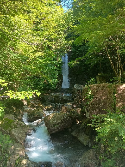f:id:developingexplorer:20250831072051j:image