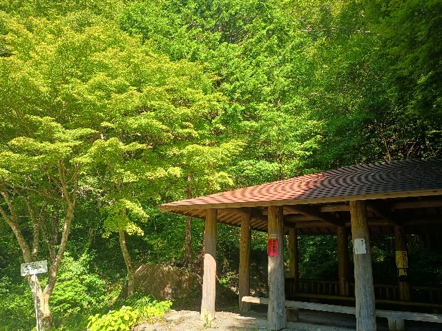 f:id:developingexplorer:20250831072110j:image