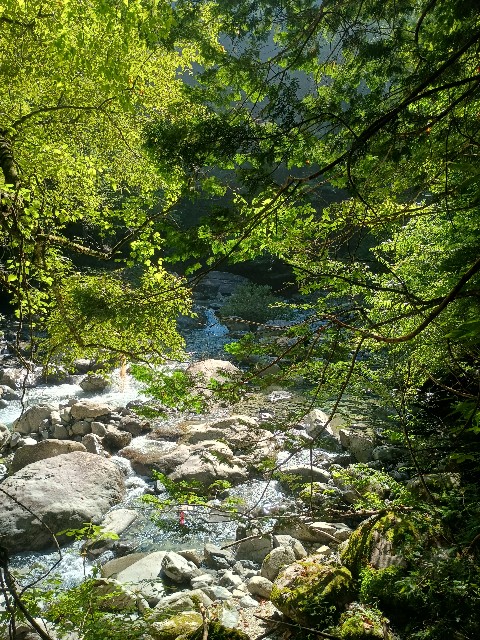 f:id:developingexplorer:20250831072323j:image