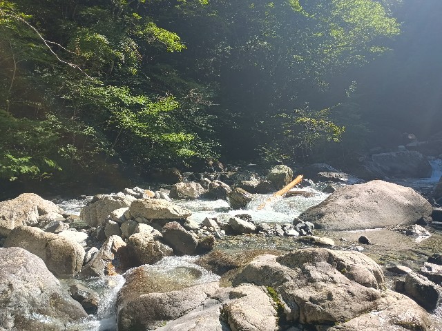 f:id:developingexplorer:20250831072359j:image