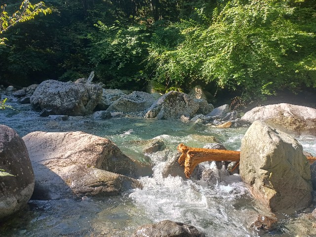 f:id:developingexplorer:20250831072425j:image