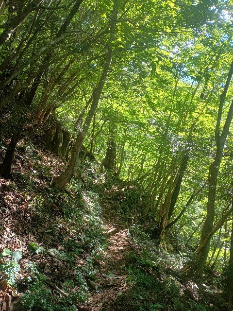 f:id:developingexplorer:20250831072532j:image