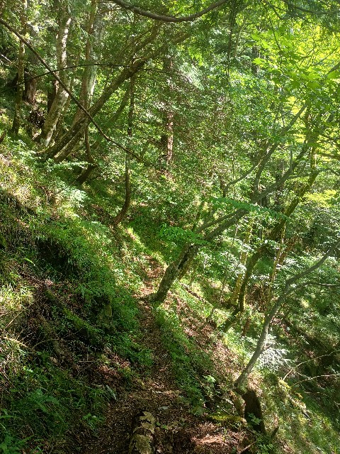 f:id:developingexplorer:20250831072748j:image