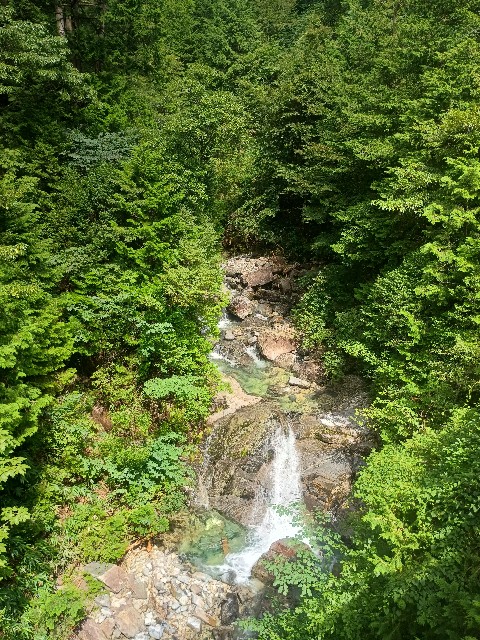 f:id:developingexplorer:20250831073037j:image