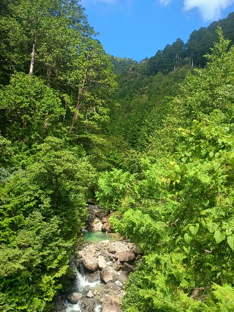 f:id:developingexplorer:20250831073047j:image