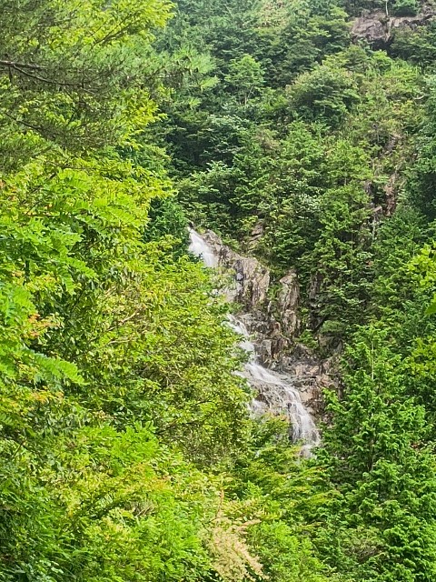 f:id:developingexplorer:20250831073059j:image