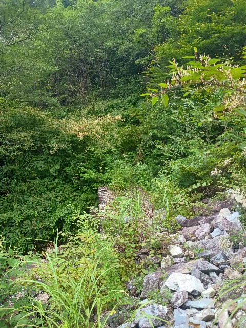 f:id:developingexplorer:20250831073500j:image