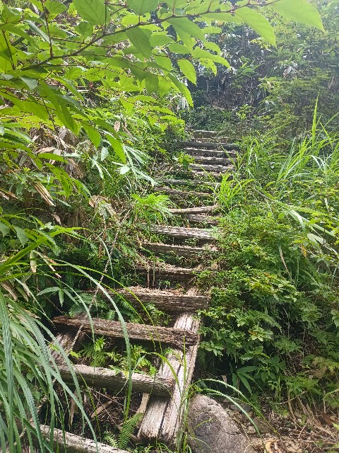 f:id:developingexplorer:20250831073820j:image