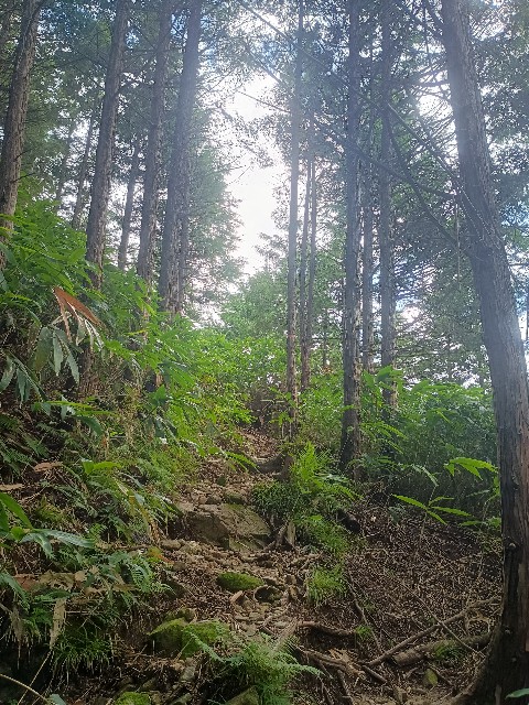 f:id:developingexplorer:20250831073828j:image