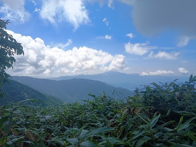 f:id:developingexplorer:20250831073908j:image