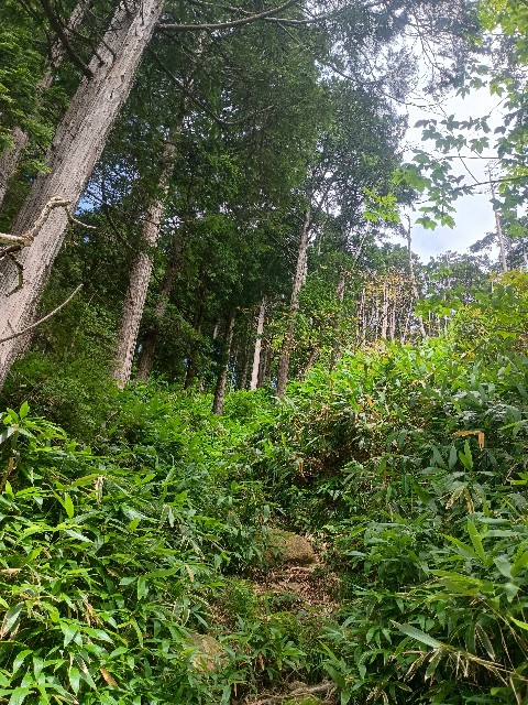 f:id:developingexplorer:20250831074147j:image