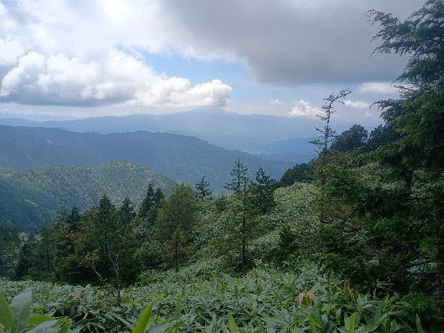 f:id:developingexplorer:20250831074331j:image