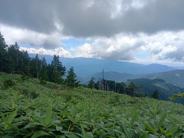 f:id:developingexplorer:20250831074352j:image