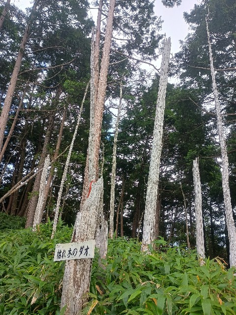 f:id:developingexplorer:20250831074456j:image