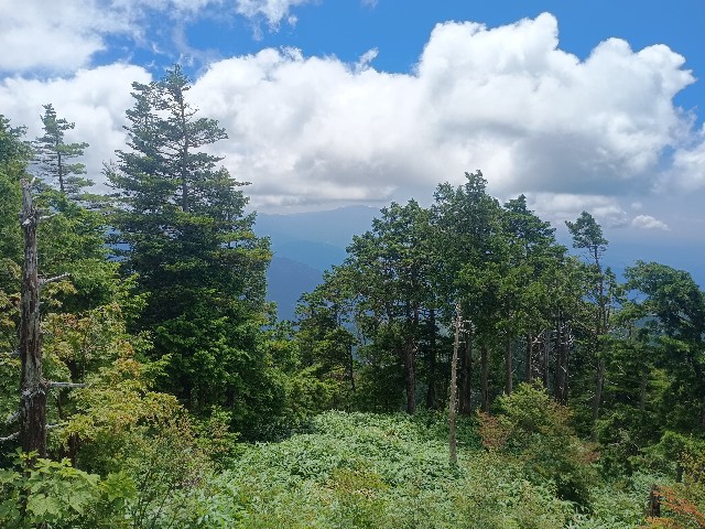 f:id:developingexplorer:20250831075202j:image