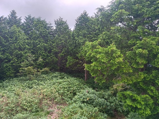 f:id:developingexplorer:20250831075320j:image