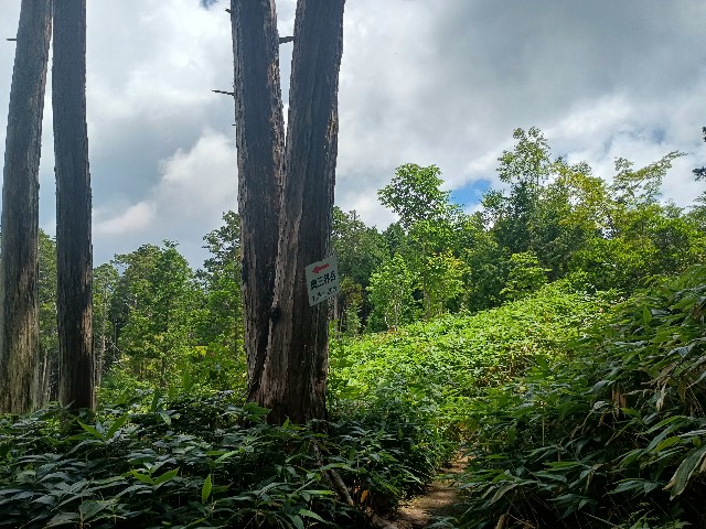 f:id:developingexplorer:20250831075416j:image