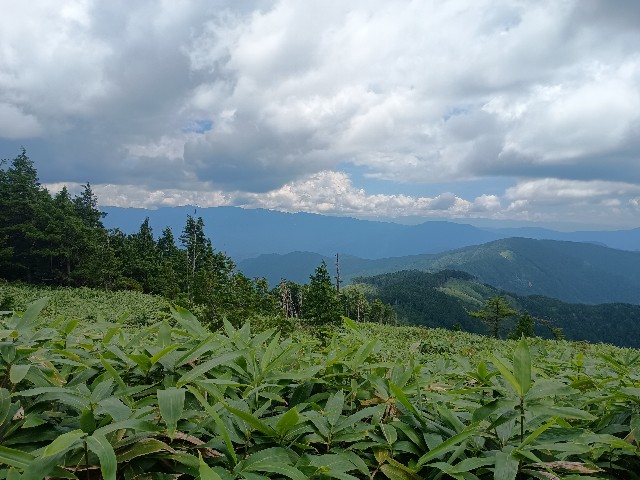 f:id:developingexplorer:20250831075606j:image