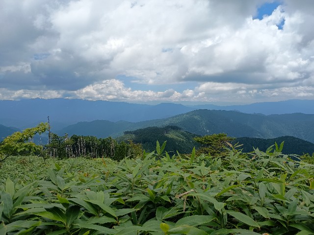 f:id:developingexplorer:20250831075617j:image