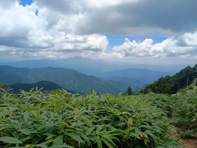 f:id:developingexplorer:20250831075623j:image