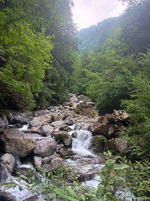 f:id:developingexplorer:20250831080052j:image