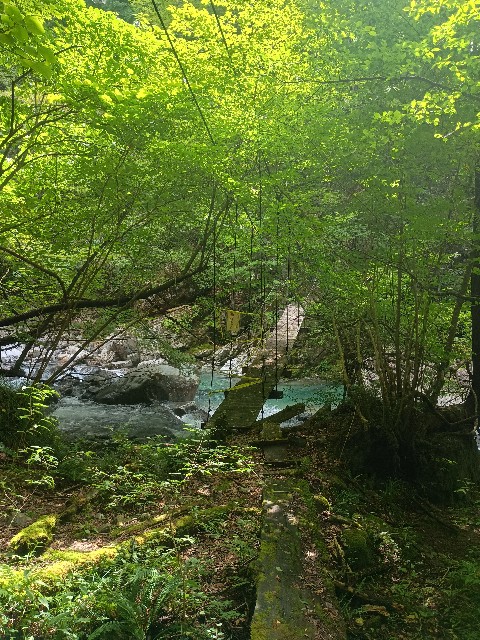 f:id:developingexplorer:20250831080231j:image