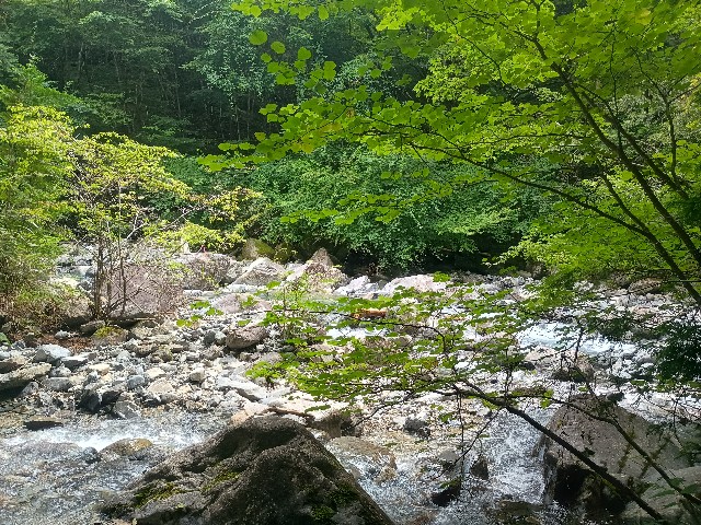 f:id:developingexplorer:20250831080404j:image