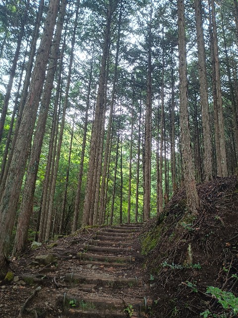 f:id:developingexplorer:20250915144426j:image