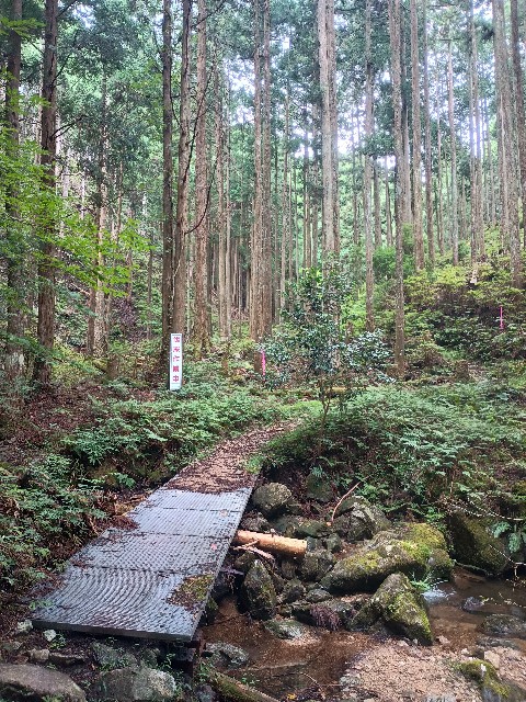 f:id:developingexplorer:20250915150205j:image