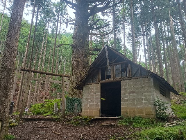 f:id:developingexplorer:20250915150401j:image