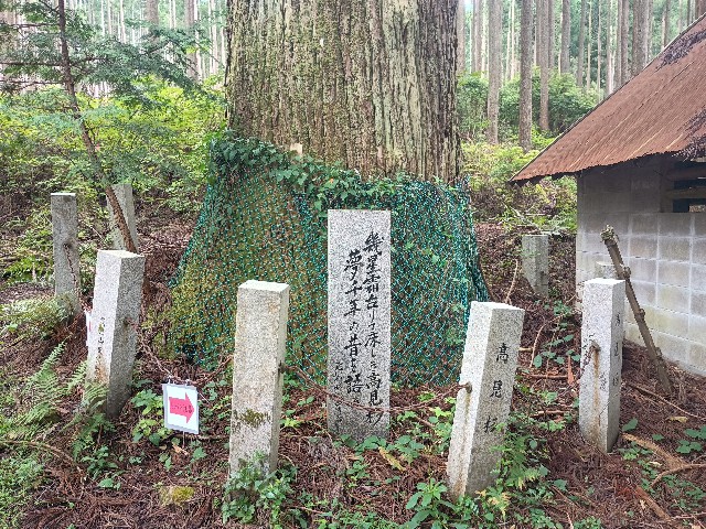 f:id:developingexplorer:20250915150411j:image