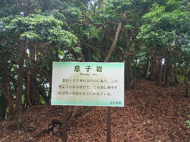 f:id:developingexplorer:20250920143209j:image