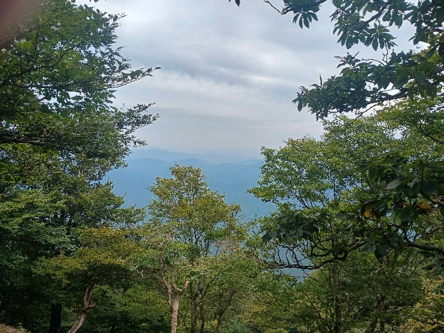 f:id:developingexplorer:20250920143947j:image