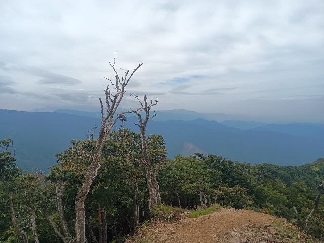 f:id:developingexplorer:20250920144631j:image