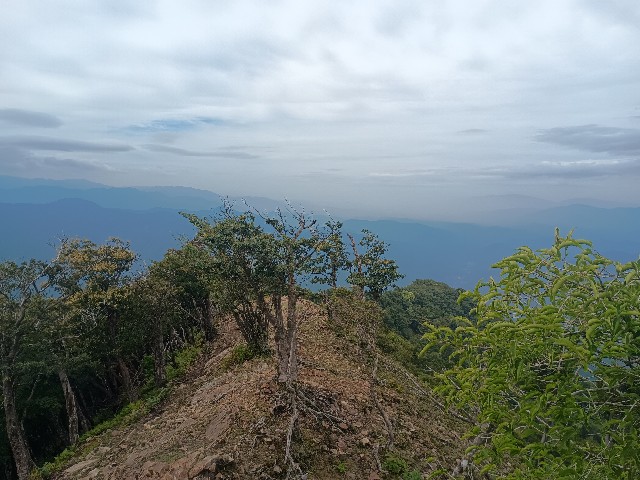 f:id:developingexplorer:20250920145245j:image