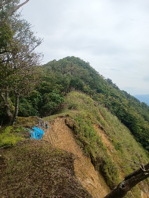 f:id:developingexplorer:20250920151653j:image