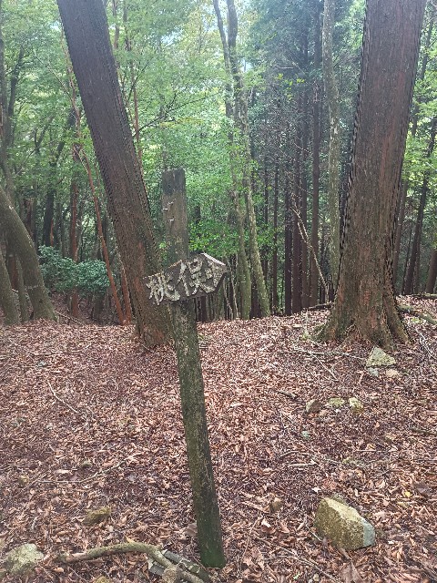 f:id:developingexplorer:20250920153553j:image