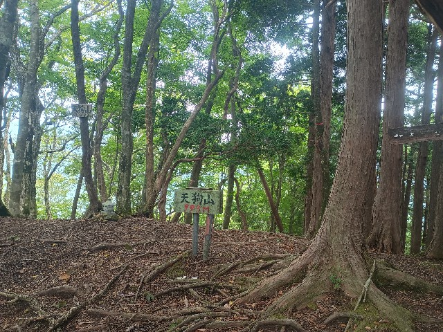 f:id:developingexplorer:20250920153945j:image