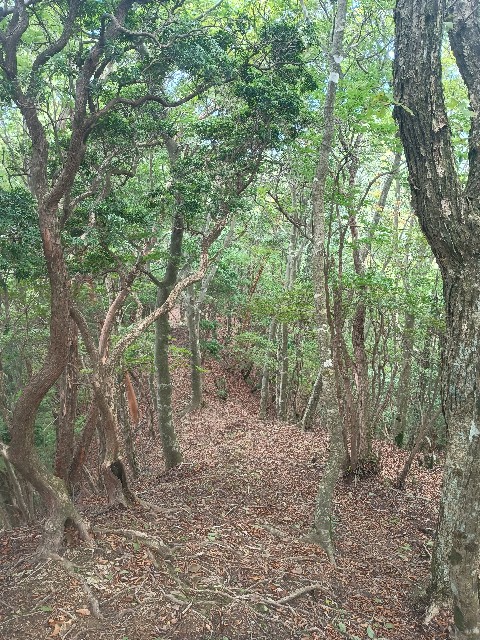 f:id:developingexplorer:20250920155007j:image