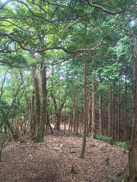 f:id:developingexplorer:20250920155028j:image