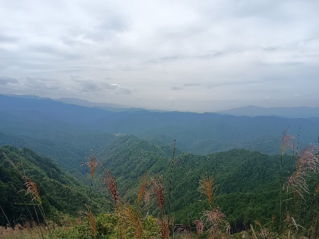f:id:developingexplorer:20250920155245j:image