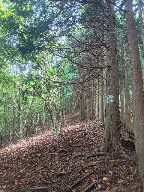 f:id:developingexplorer:20250920155452j:image