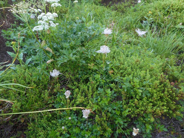 f:id:developingexplorer:20251018115553j:image