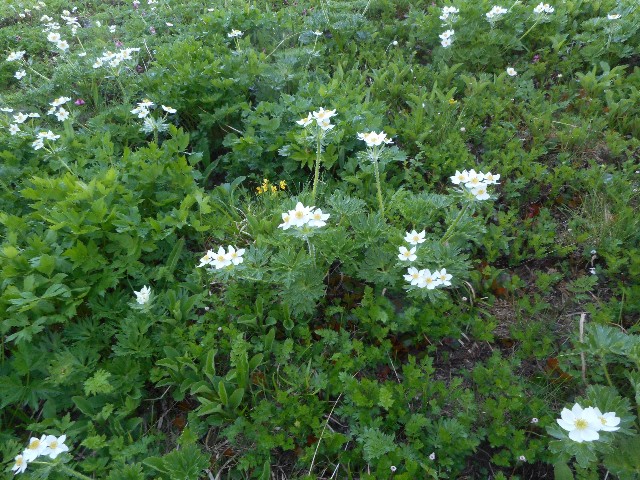 f:id:developingexplorer:20251018115633j:image