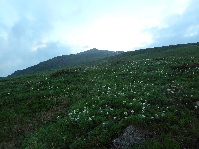 f:id:developingexplorer:20251018115838j:image