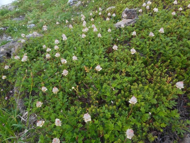 f:id:developingexplorer:20251018122207j:image